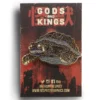 Gamera 65 Flying Void Limited Edition Gold Enamel Finish Kaiju Gods and Kings Soft Enamel Pin By Anthony Respect